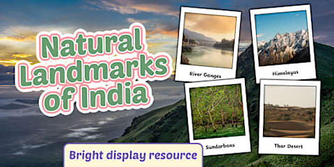 Shopping Photo Caption Writing Template