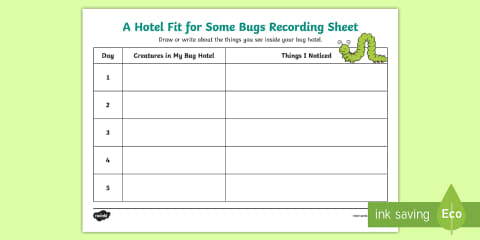 KS1 A Hotel Fit for Some Bugs Investigation Activity