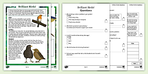 Birds in Your Garden Reading Comprehension Activity