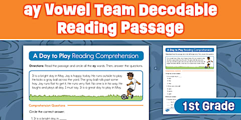 First Grade Long e CVCe Decodable Reading Passage Comprehension Worksheet