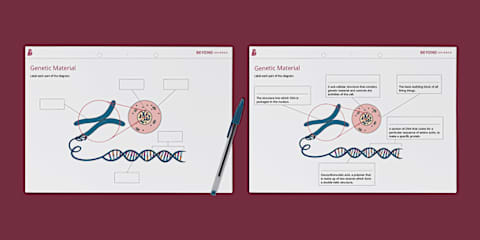 Seventh Grade Introduction to Genetics PowerPoint & Google Slides