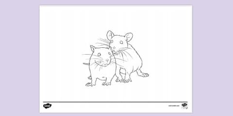 Mouse Reading Colouring Mouse Reading a Book Colouring Sheet