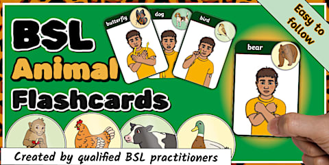 Colours British Sign Language (BSL) Video Pack