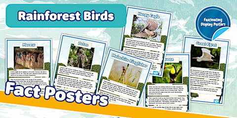 How Does Hearing with a Hearing Aid Work? Poster