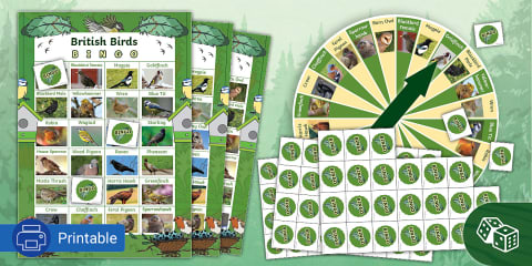 Marine Animals Bingo Spinner Board Game - Earth Day