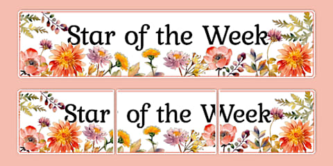 Wildflower Botanical Themed Welcome to Our Class Display Banner