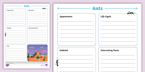 Parts of the Body of an Ant - Labelling Activity
