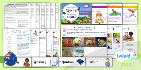 Year 2 Science Living Things Change Key Vocabulary Matching Activity