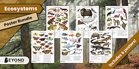 Ecosystems Fact File
