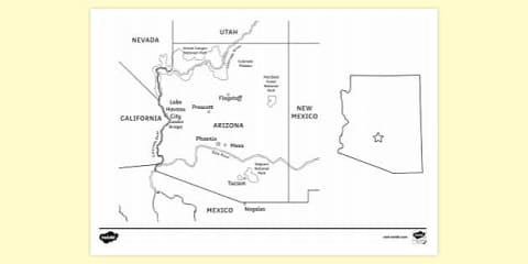 All About Arizona Research Worksheet for K-2nd Grade