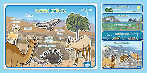 Animal Habitats Photo Display Poster