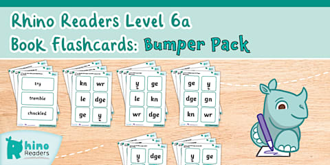 Level 2 Rhino Readers Intervention Mini-Reads: Flashcards Bumper Pack