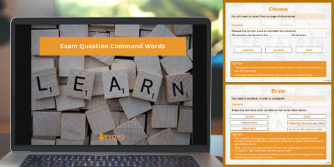 Academic Verbs and Question Words Desk Mat for Older Learners of EAL