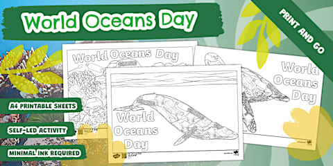 Save Our Oceans Colouring Activity Poster