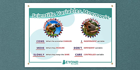 Variable Rhyme Science Science Practical Worksheet: Variables