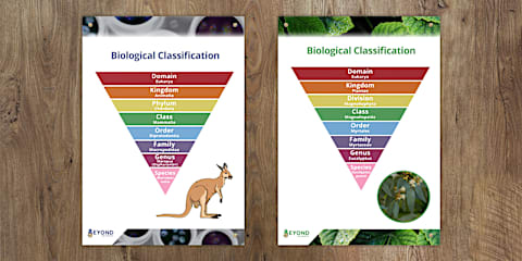 Year 7 Yearly Revision Biology