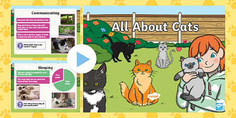 Cats Fact Cards