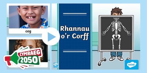 Parts of the Body Word Cards Welsh