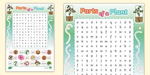 Life Cycle of a Plant Word Search