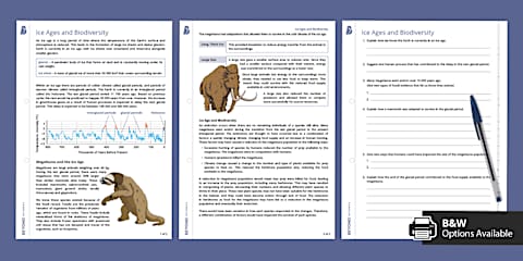 ice age facts worksheets for kids – artofit Images... Ice Age Fact File Template