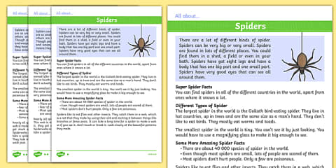 Spiders Cloze Worksheet