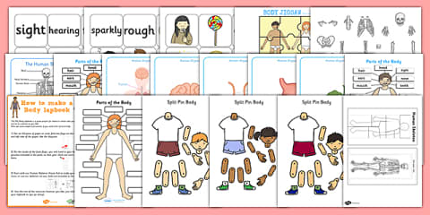 My Body Topic KWL Grid