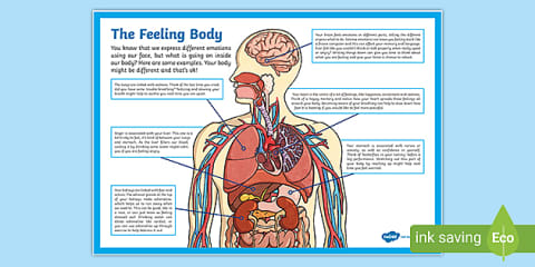 Body Displant ROI Listening at Mass - The Gospel Reading A4 Display Poster