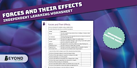 KS3 Forces End of Unit Assessment Pack - Foundation