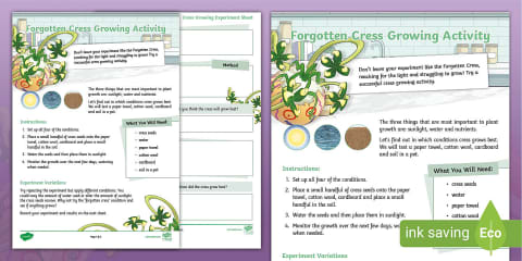 EYFS Planting Cress Seeds Adult Input Plan and Resource Pack