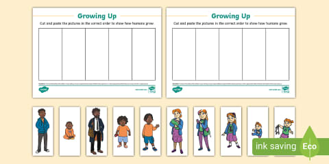 Growing Up Steps Stages of Growth Sequencing Activity