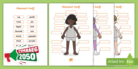 Parts of the Body Word Search Welsh