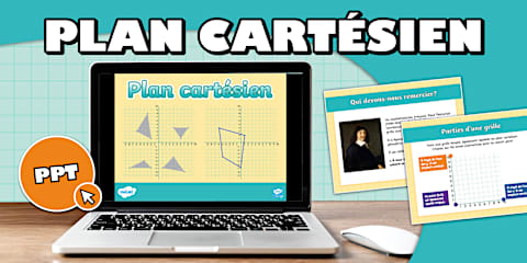 The Money Tree: What Influences Our Choices? Activity Sheet