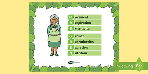Mrs. Gren Math Characteristics of Living Things Display Poster