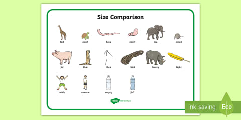 Size Adjectives Word Cards