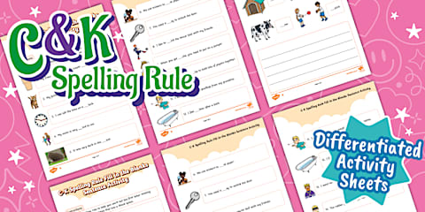 Words Ending in 'ck' or 'k'? Worksheet