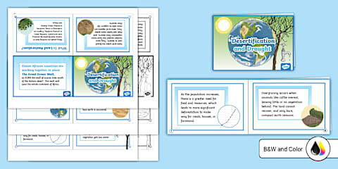 Environment Fact File World Environment Day Desertification and Drought Fact File