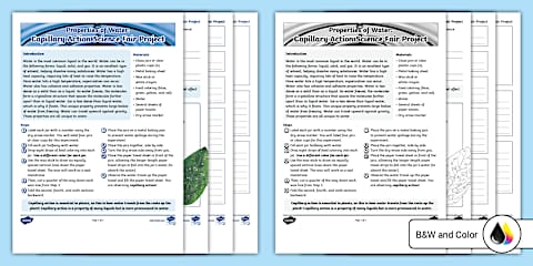 Science Fair Project Grading Rubric for 6th-8th Grade