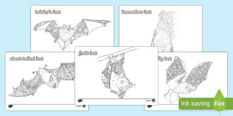 Bats Doodle Colouring Pages