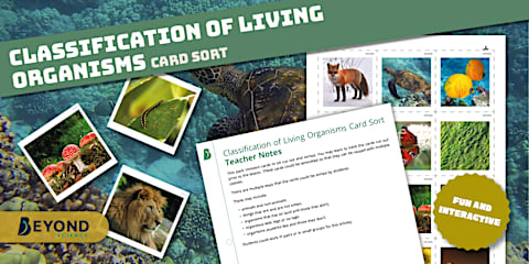 KS3 Inheritance and Evolution Lesson 6: Classification Lesson Pack ...