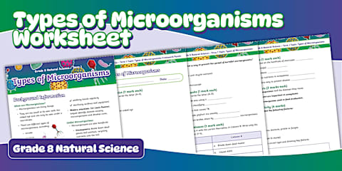 Microorganisms Fact File Microorganisms and The Body: Display Posters