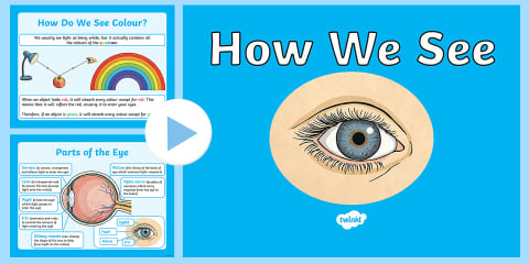 Parts of the Eye Worksheet
