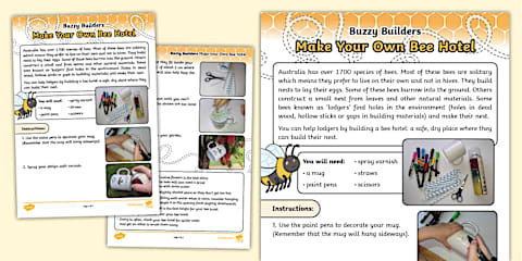 World Bee Day - Australian Native Bees PowerPoint (STEM)