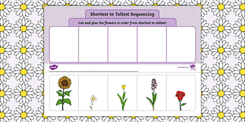 Grade R - Maths - Term 1 - Measurement - Length - Worksheet: Cut and ...