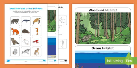 Animals and Their Habitats Matching Activity