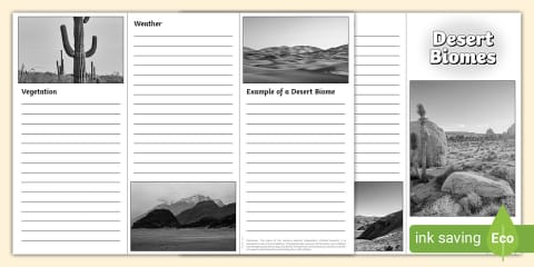 Biome Flapbook Template