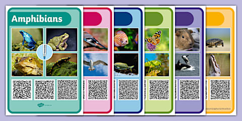 Animals Qr Code Color QR Code Hunt - Animals Jigsaw