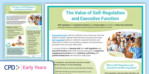 Early Years Executive Function Skills Cards