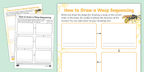 Bees and Wasps Comparison Mind Map