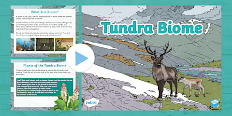 Deciduous Forest Biome PowerPoint