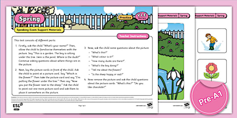 YLE Starters - Speaking - Question Cards [Pre-A1]